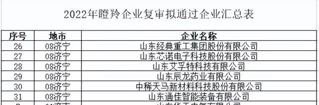 濟(jì)寧市上榜2022年度山東省“瞪羚”“獨角獸”企業(yè)名單