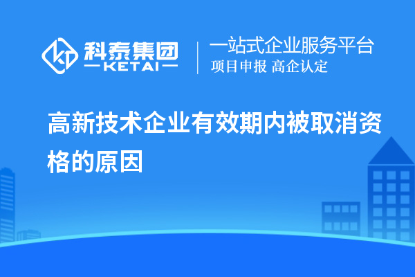 高新技術企業(yè)有效期內(nèi)被取消資格的原因