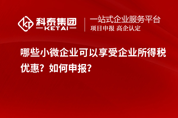 哪些小微企業(yè)可以享受企業(yè)所得稅優(yōu)惠？如何申報(bào)？