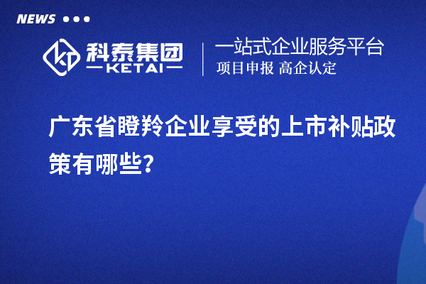 廣東省瞪羚企業(yè)享受的上市補(bǔ)貼政策有哪些？