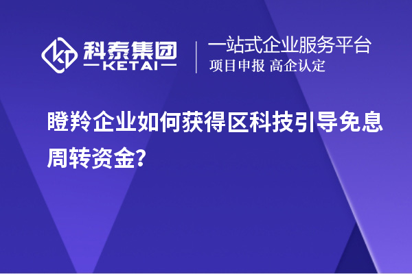 瞪羚企業(yè)如何獲得區(qū)科技引導(dǎo)免息周轉(zhuǎn)資金？