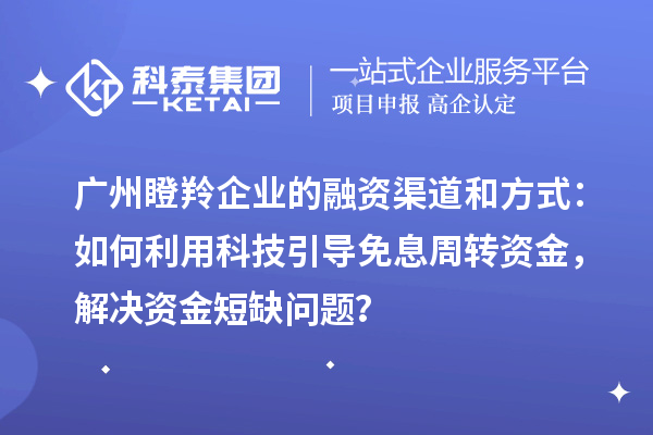 廣州瞪羚企業(yè)的融資渠道和方式：如何利用科技引導(dǎo)免息周轉(zhuǎn)資金，解決資金短缺問題？