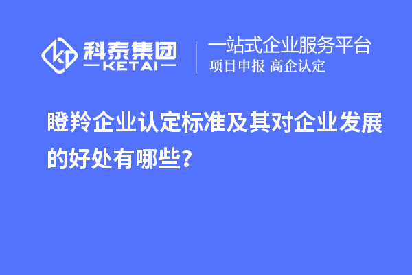 <a href=http://www.0037av.com/fuwu/dengling.html target=_blank class=infotextkey>瞪羚企業(yè)認(rèn)定</a>標(biāo)準(zhǔn)及其對企業(yè)發(fā)展的好處有哪些？