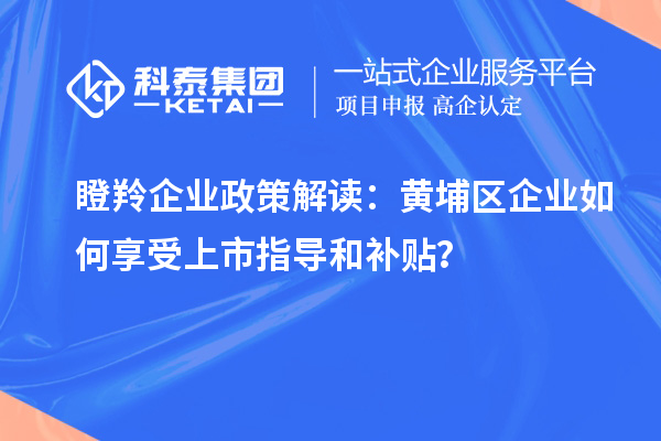 瞪羚企業(yè)政策解讀：黃埔區(qū)企業(yè)如何享受上市指導和補貼？