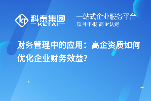 財務管理中的應用：高企資質(zhì)如何優(yōu)化企業(yè)財務效益？