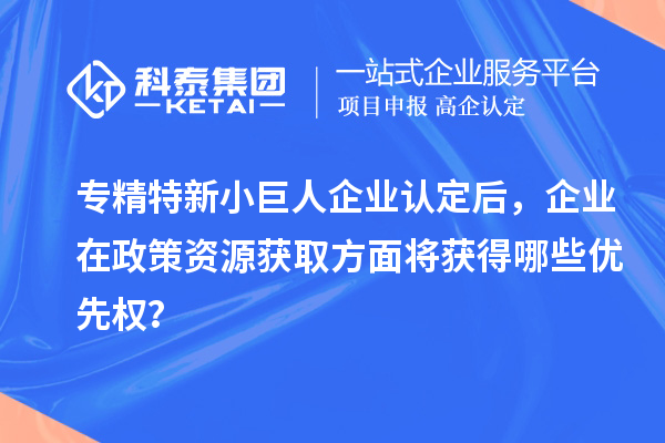 專精特新小巨人企業(yè)認(rèn)定后，企業(yè)在政策資源獲取方面將獲得哪些優(yōu)先權(quán)？