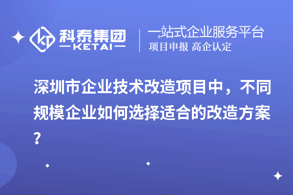 深圳市企業(yè)技術(shù)改造項目中，不同規(guī)模企業(yè)如何選擇適合的改造方案？