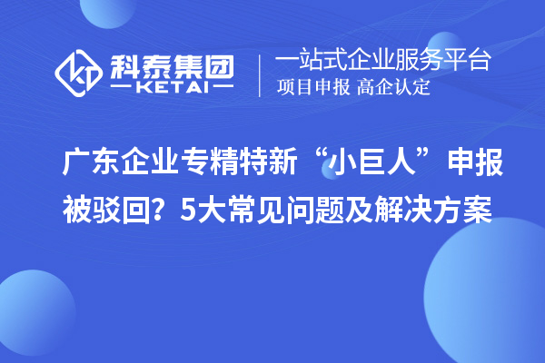 廣東企業(yè)專精特新“小巨人”申報被駁回？5大常見問題及解決方案