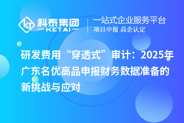 研發(fā)費用“穿透式”審計：2025年廣東名優(yōu)高品申報財務(wù)數(shù)據(jù)準(zhǔn)備的新挑戰(zhàn)與應(yīng)對
